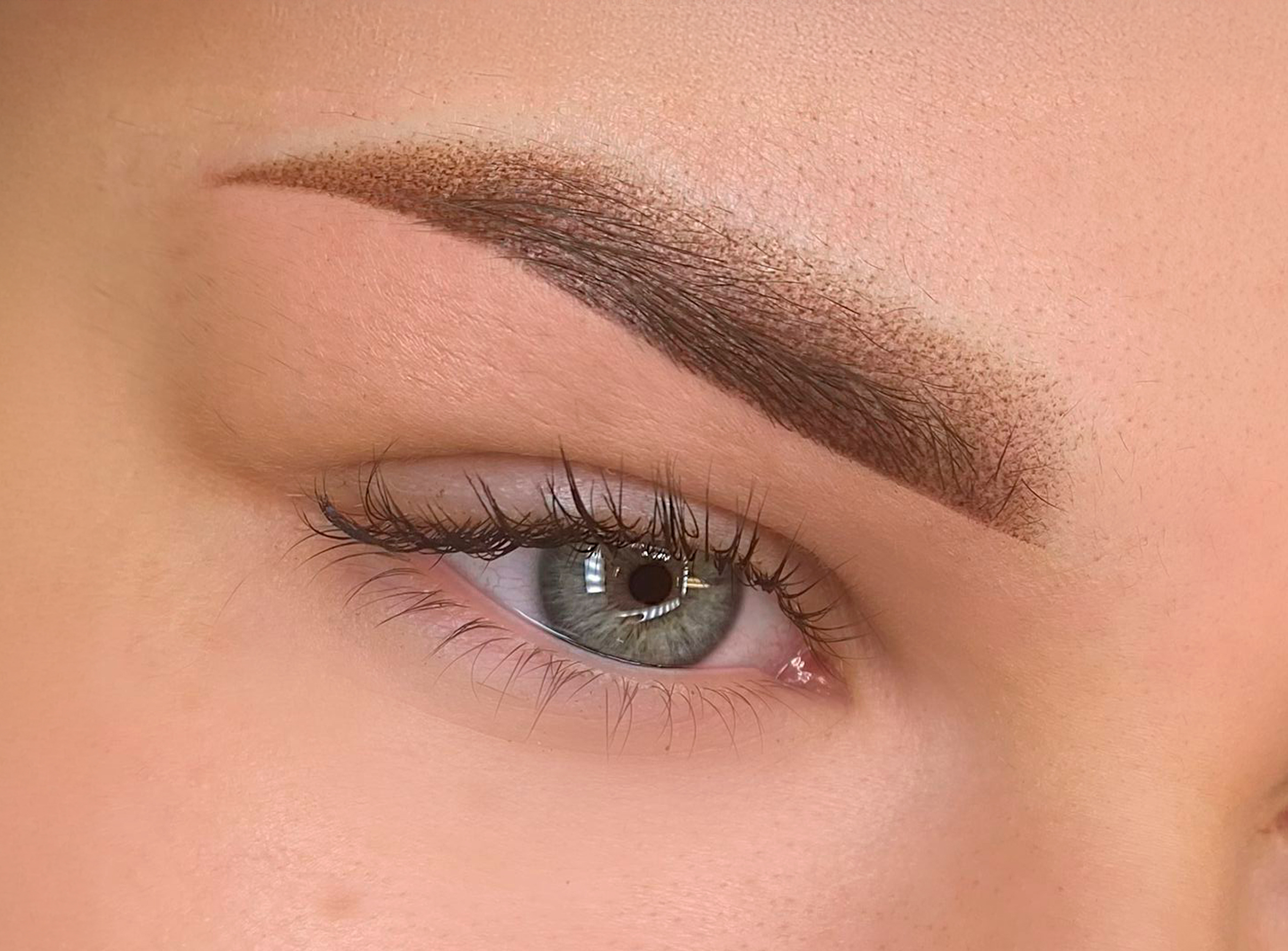 [Cejas en técnica polvo alta resolución]